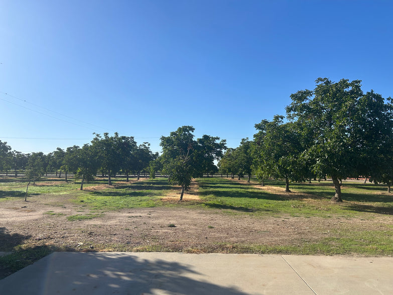 1259 W. Turner Rd.
