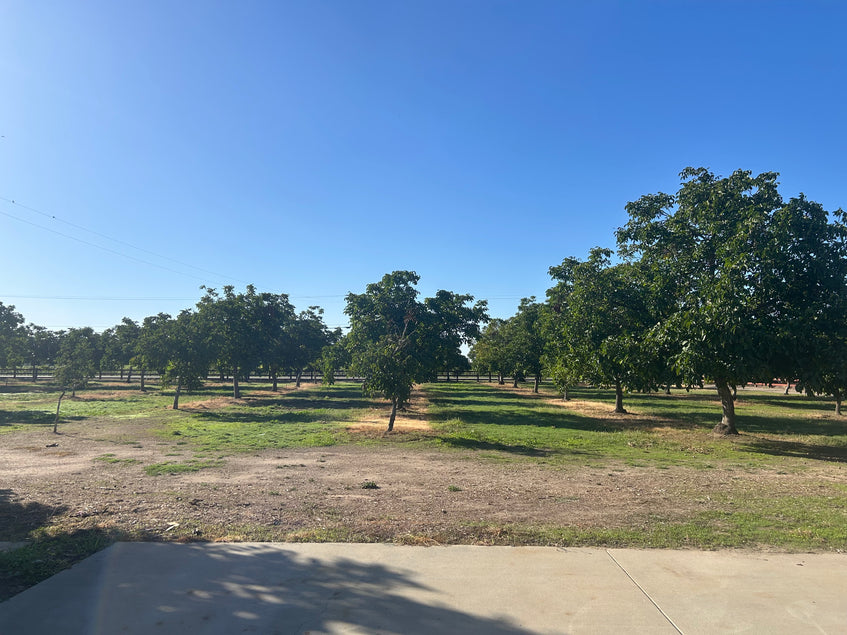 1259 W. Turner Rd.